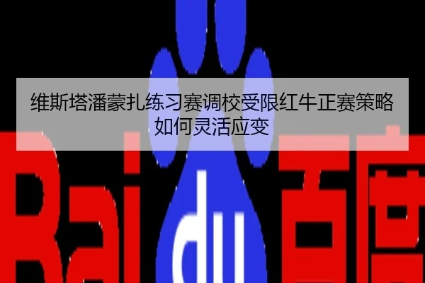 维斯塔潘蒙扎练习赛调校受限红牛正赛策略如何灵活应变