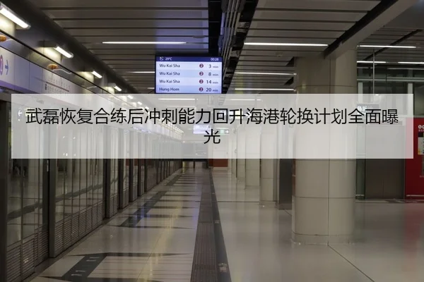 武磊恢复合练后冲刺能力回升海港轮换计划全面曝光